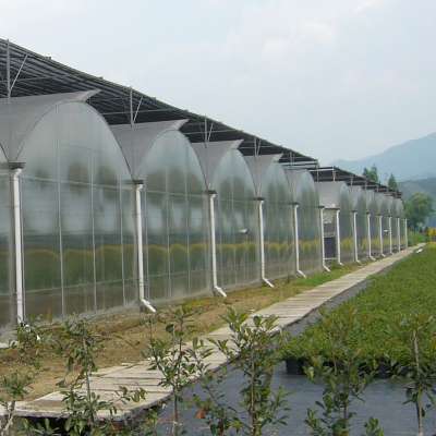 small industrial greenhouse from China