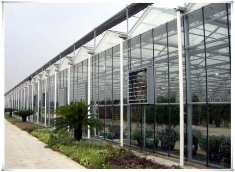 SanLian glasshouse