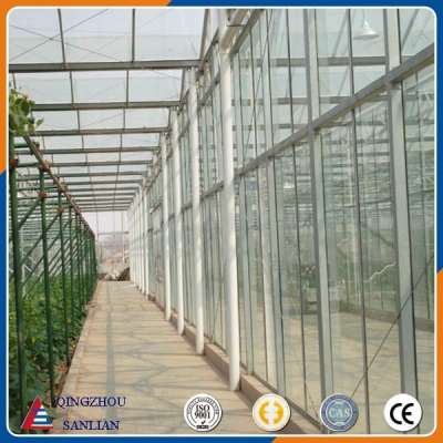 large Venlo glass agriculture greenhouse with cheap price