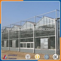 Glass multi-span Venlo agriculture greenhouse