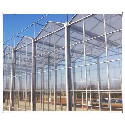 2017 hot seling Venlo Type Glass Greenhouse for agriculture