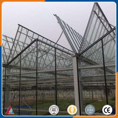 large Venlo glass greenhouse