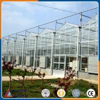 multi span Venlo glass agriculture greenhouse