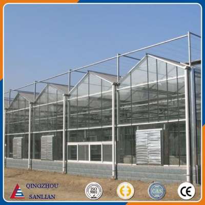 Venlo Type Glass Greenhouse