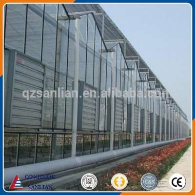 Low price and high quality Glass multi-span Venlo agriculture greenhouse