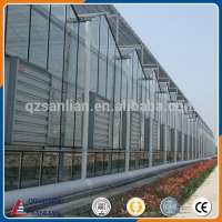 Low price and high quality Glass multi-span Venlo agriculture greenhouse