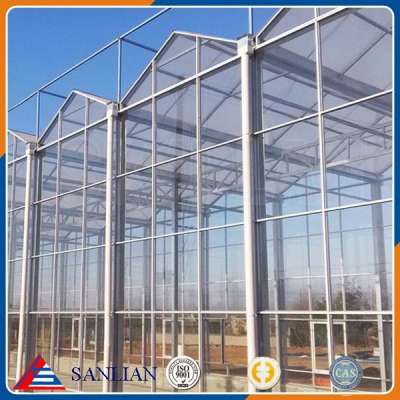 Venlo type multi-span glass agriculture greenhouse