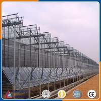 multi purpose Venlo glass agriculture greenhouse for flower planting